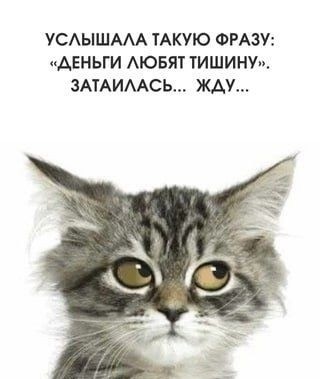 Вторник. Немного картинок