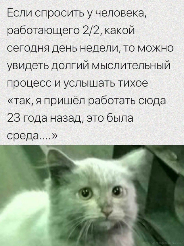 Прикольные и просто красивые картинки 25.11.2025