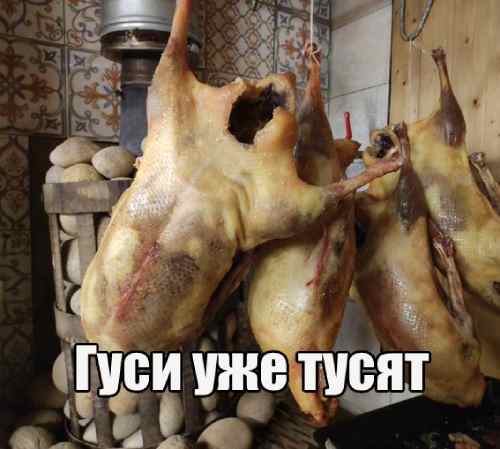 Картинки для деградации 113 (разной степени свежести)