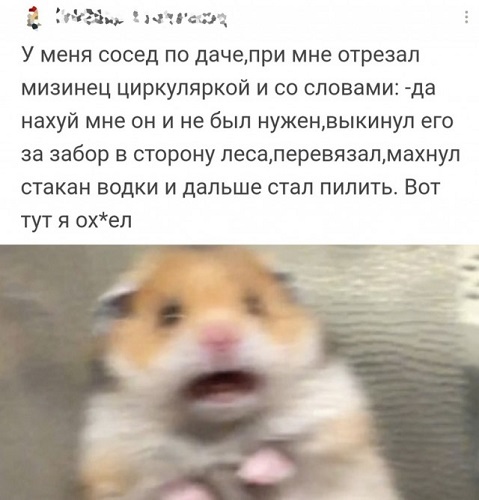 Как понять, где соседи е*анько