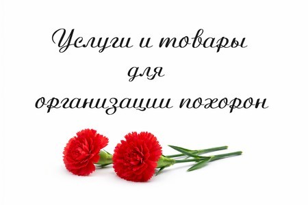 Скрасил рабочий день девушкам