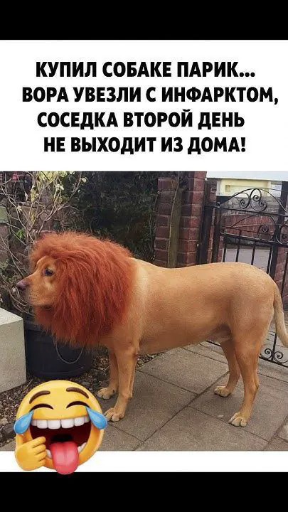 Картинки на среду