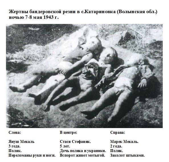 Беркута больше нет