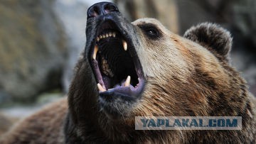 США угрожает России, наш ответ.
