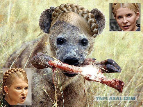 Принцесса у параши