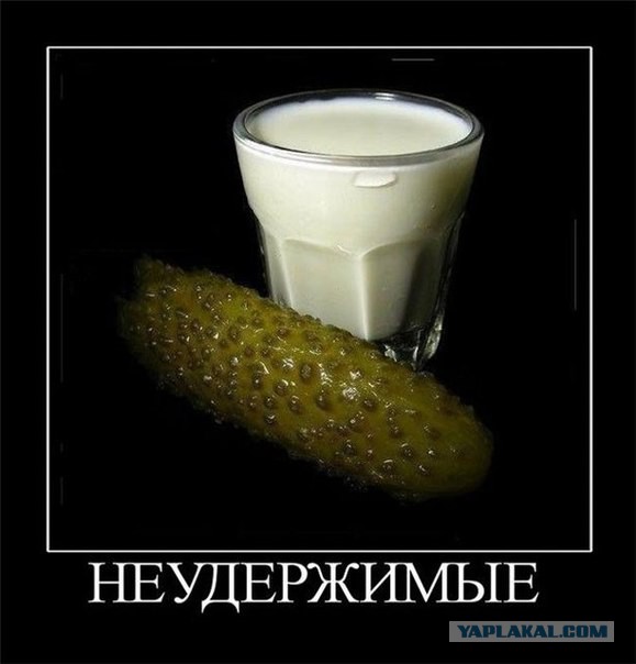 Мнение "Вопли Видоплясова"