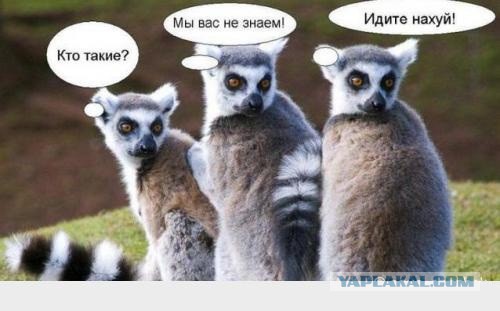 США готовят майдан в России