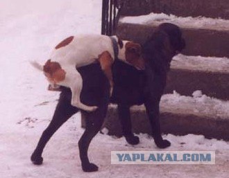 Вяжем сами.