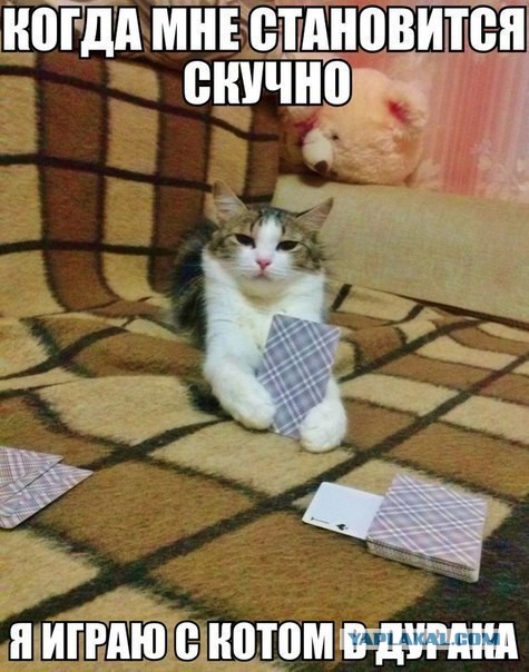 Картинки из сети для настроения