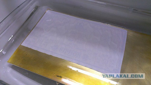 Измеритель скорости торрентов