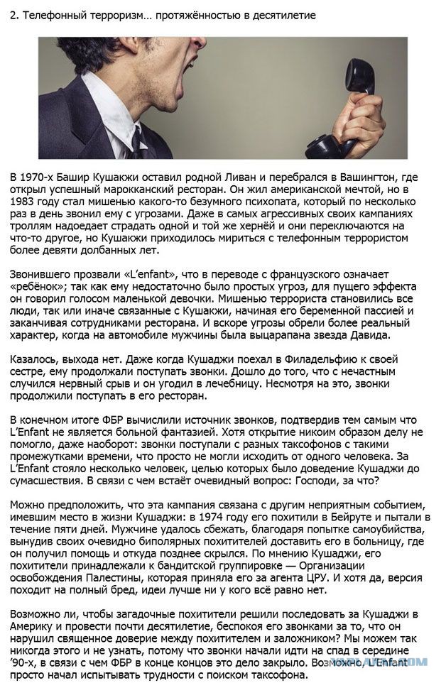 20 фактов обо всем