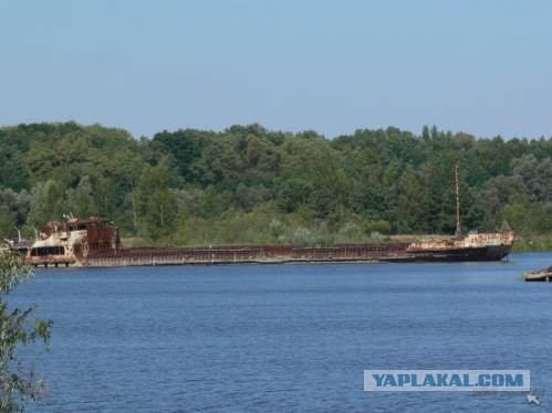 Умирающие корабли