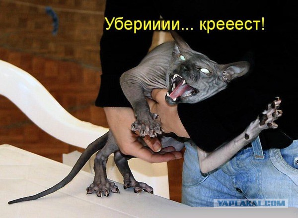 Ей холодно, а нам страшно!