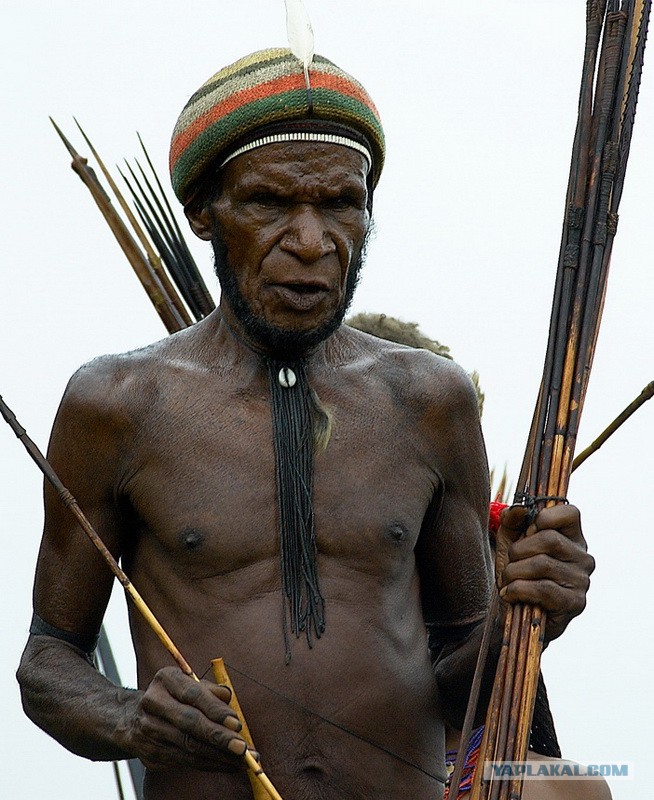 Аборигены малайзии 4 буквы. Папуа новая Гвинея мужчины котека.