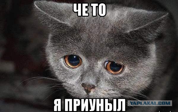 Чемпионат Мира  по хоккею 2015 часть 5.Финал