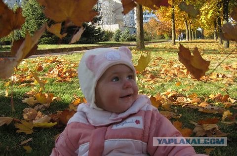Осень и девушки