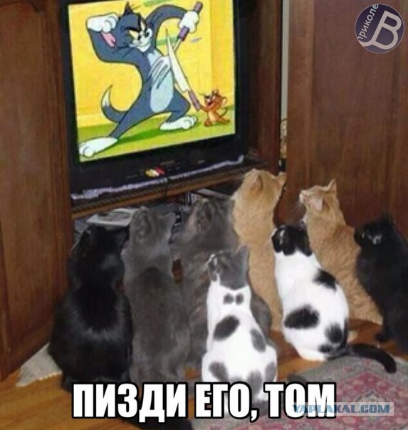 Известные котомемы.