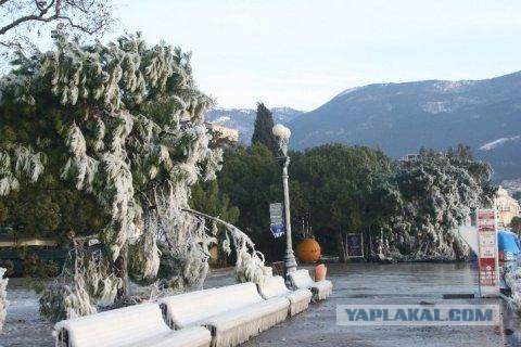 Черное море... замерзло!