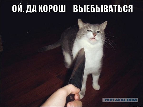 Картинки набрались разные