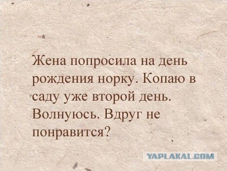 Картинки и приколы из соцсетей