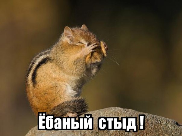 Кто чернее,  тот и папа
