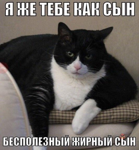Картинки на пятницу