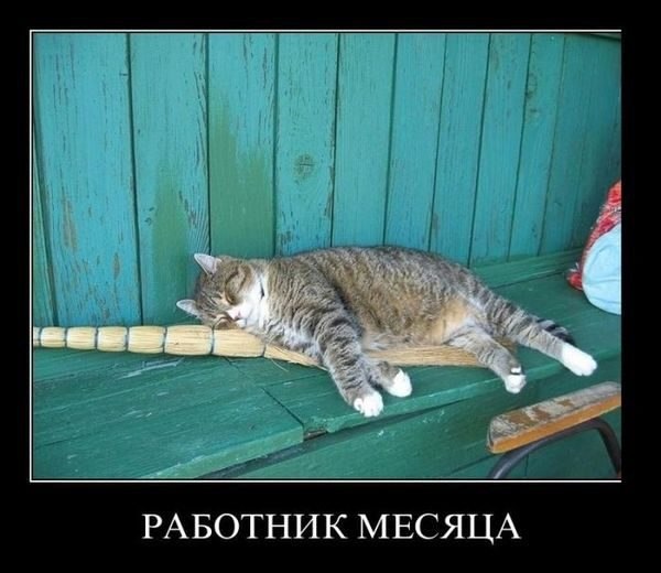 Подборка картинок