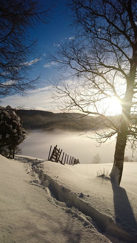 Подборка  картинок