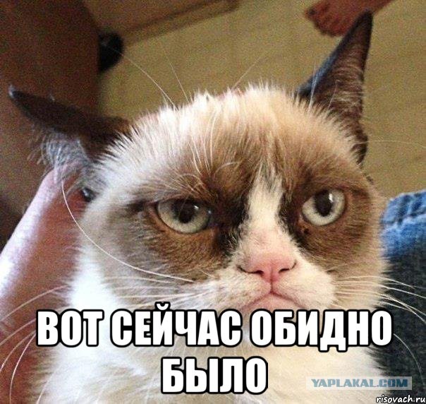 Интересные и веселые картинки