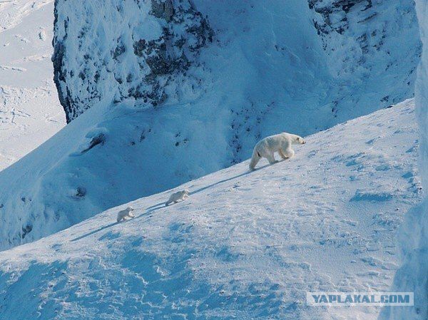 Всем нашим встречам,  увы, разлуки суждены...