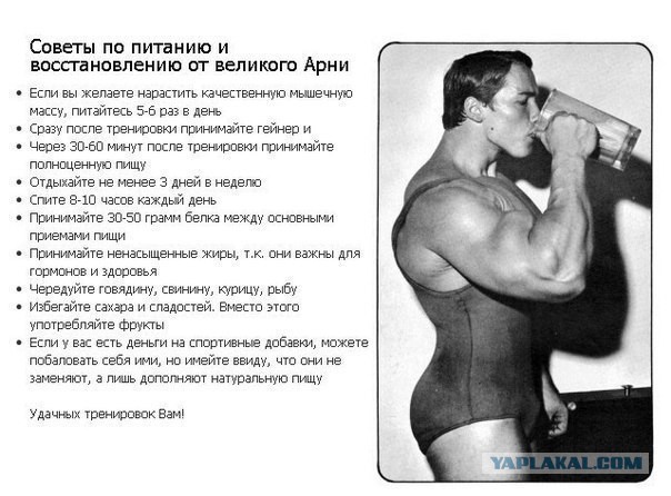 Продукты для роста мышц