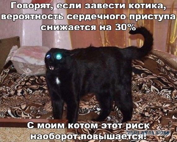 Странный юмор на пятницу.