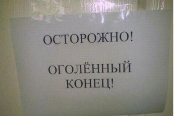 Прикольные картинки