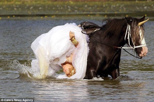 Лошадь испортила свадебную фотосессию американки