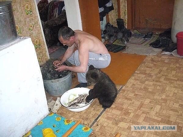 Подборка картинок