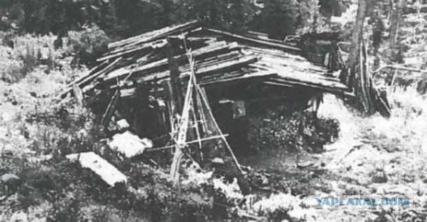 Тайга, страшные истории