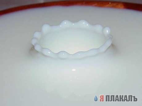 Красивые фотографии. Стоп-кадр