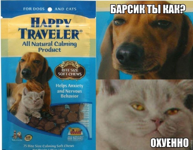 Деградации ЯПу от Креизи