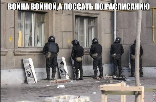Подборка безудержного веселья