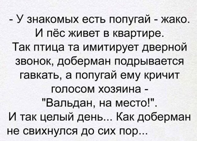 Подборка интересных и веселых картинок