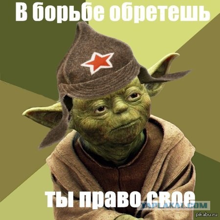 Кормить семью должен мужчина