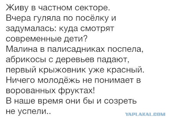 Комментарии из соцсетей
