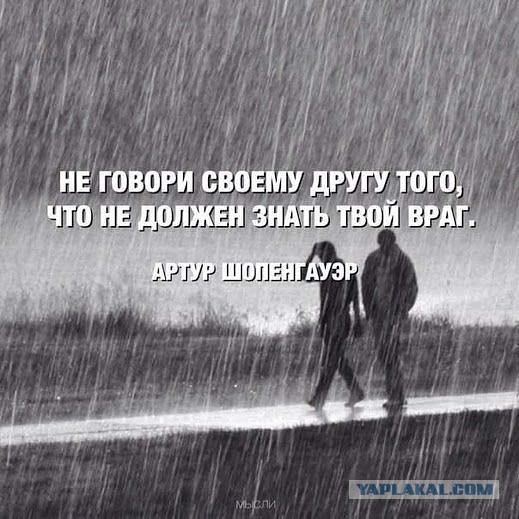 Бывший друг