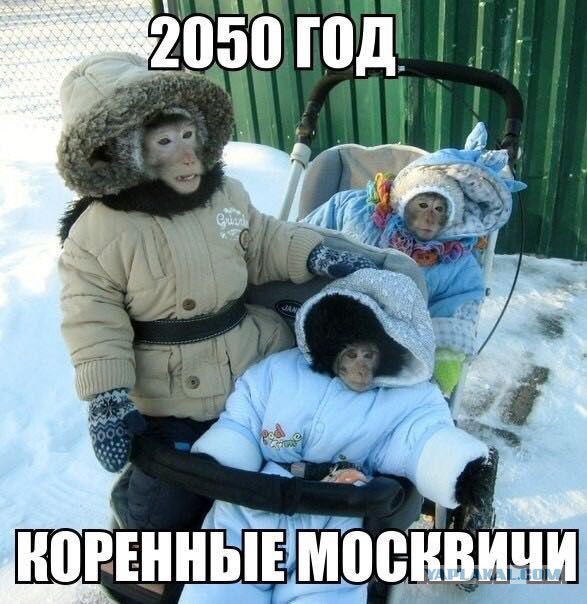 Подборка интересных и веселых картинок