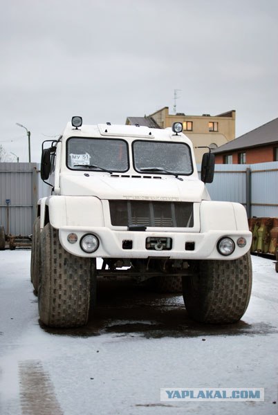 Сибирский клиренс