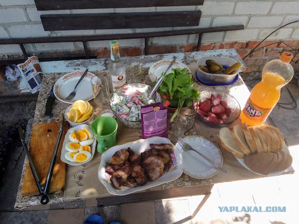 Водку пьют из-за дешевизны или реально вкус нравится?