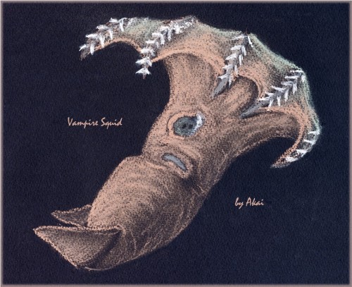 Адский вампир или адский кальмар-вампир