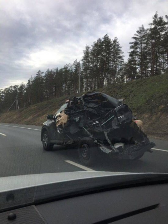 Прикольные картинки абавсём