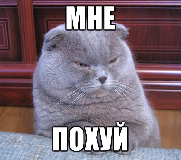 Европе грозят неслыханные холода.