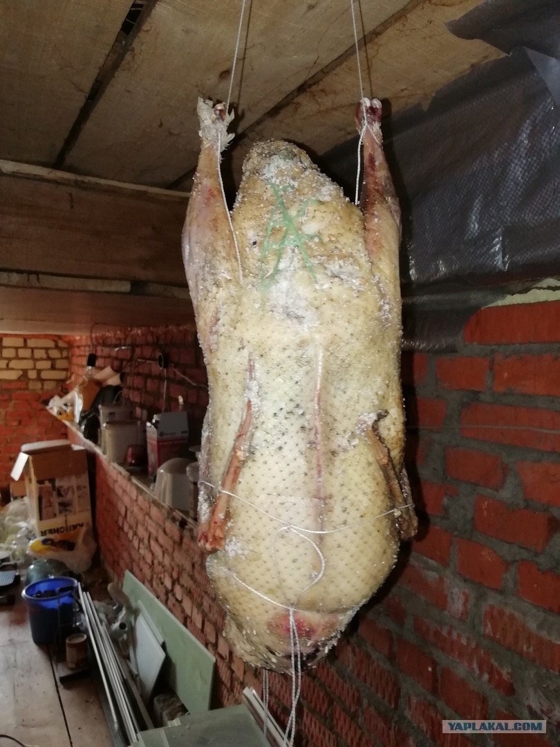 Где Купить Вяленого Гуся В Казани